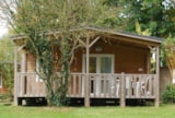 Confort Chalet 24M² (2 Camere) + Terrazzo Coperto Confort Chalet 24M² (2 Camere) + Terrazzo Coperto