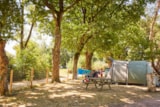 Forfait Privilège (1 Tente, Caravane Ou Camping-Car / 1 Voiture / Électricité 16A). Grand Emplacement Avec Vue Sur Lac Forfait Privilège (1 Tente, Caravane Ou Camping-Car / 1 Voiture / Électricité 16A). Grand Emplacement Avec Vue Sur Lac