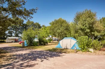 Stellplatz - Stellplatz Confort (Zelt, Wohnwagen, Wohnmobil / 1 Auto / Strom 16A) - Flower Camping du Lac de La Chausselière