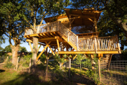 Accommodation - Premium Treehouse 30M² + Semi Covered Terrace Of 30M² - Flower Camping du Lac de La Chausselière
