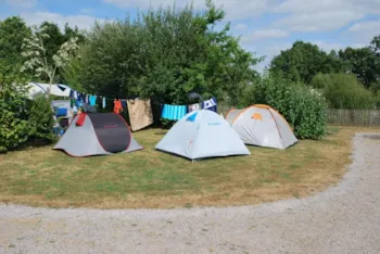 Stellplatz - Stellplatz Confort Espace (Zelt, Wohnwagen Oder Wohnmobil / 1 Auto / 16A Strom) Geräumiger - Flower Camping du Lac de La Chausselière