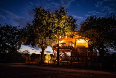 Premium Treehouse with Spa -30m²+ 30m² terrace+ Air conditioning + Beds made on arrival