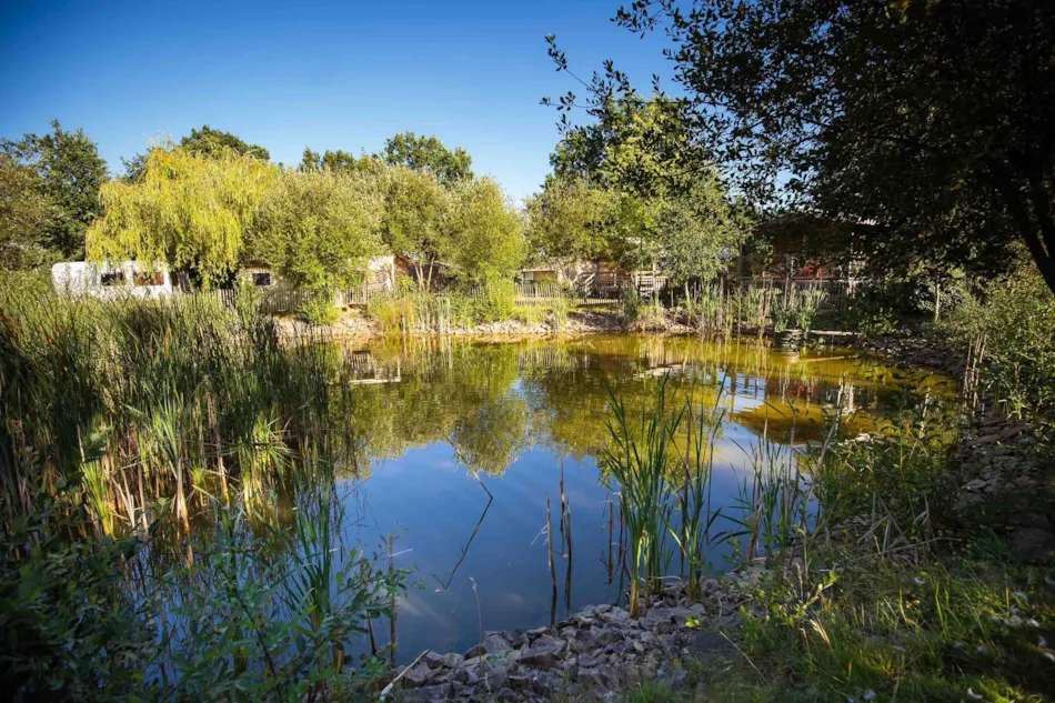 Flower Camping du Lac de La Chausselière