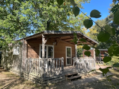 Premium Chalet 42m² 4/6 p. (2 bedrooms) + sheltered terrace
