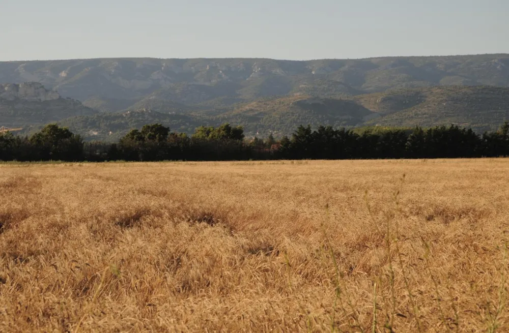 Camping Durance - Luberon