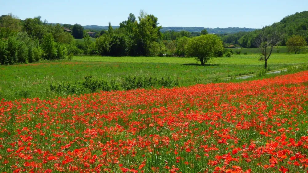 Camping Durance - Luberon