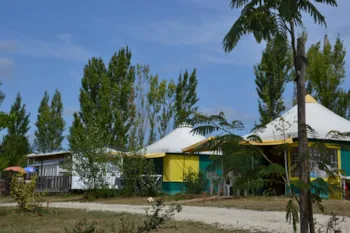 Location - Bungalow Toilé At Kiwi 25 M² 2 Chambres - Camping des Etangs