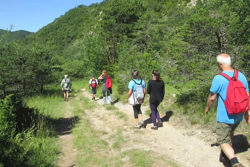 CAMPING LA COMBE D'OYANS - image n°12 - RhoneAlpes