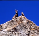 Foto #34 van Camping Le Reclus