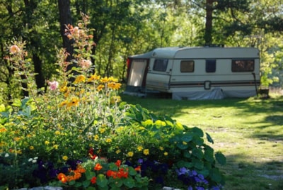 Pitch + caravan or tent