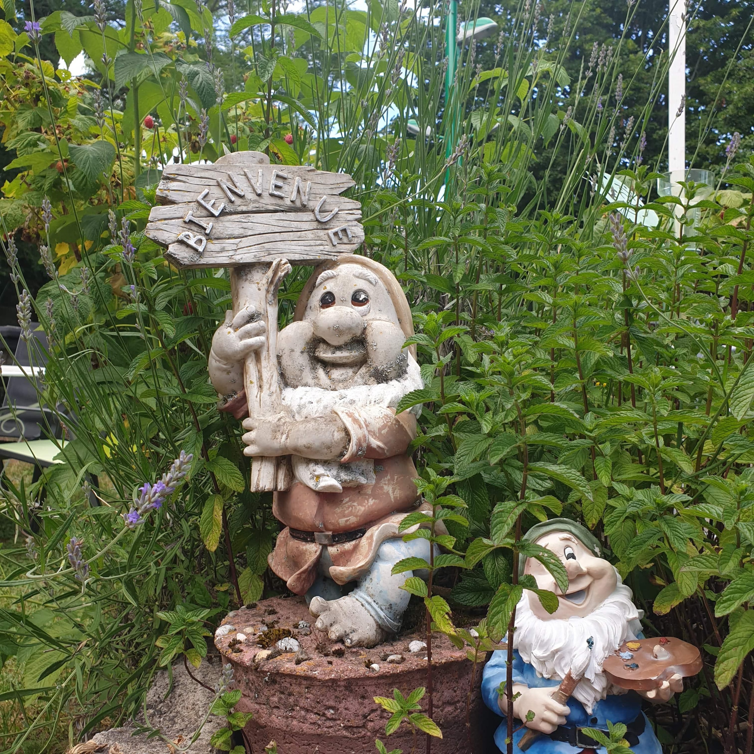 Camping de la Haute Sioule — Photo 2
