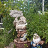 Foto #2 van Camping de la Haute Sioule