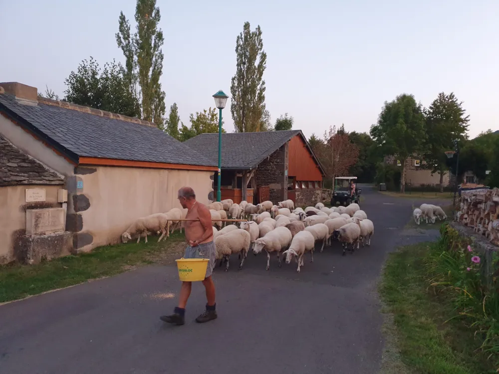 Camping de la Haute Sioule - image n°24 - UniversalBooking