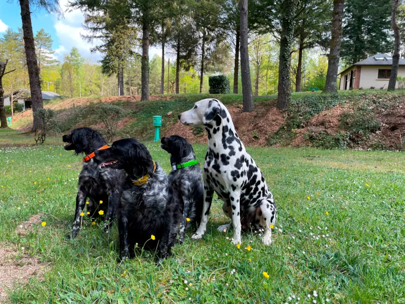 Emplacement Tente Ou Caravane Ou Camping Car + Voiture - Tarif 1 Pers.