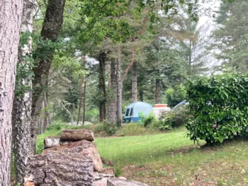 Pitch - Pitch 1 Tent + Bike - Domaine du Lac