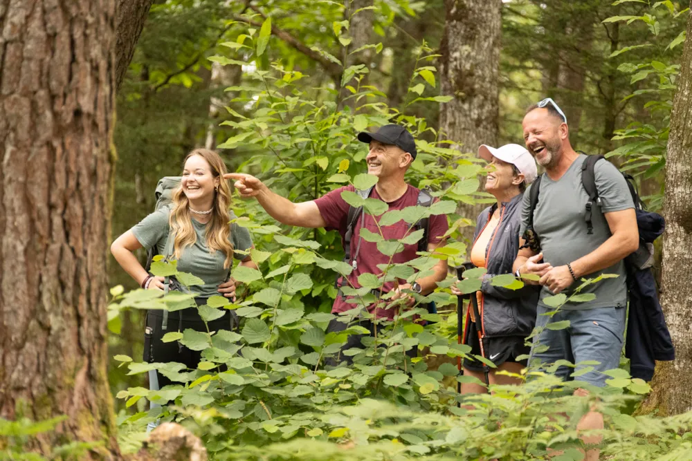 Domaine du Lac - image n°2 - UniversalBooking