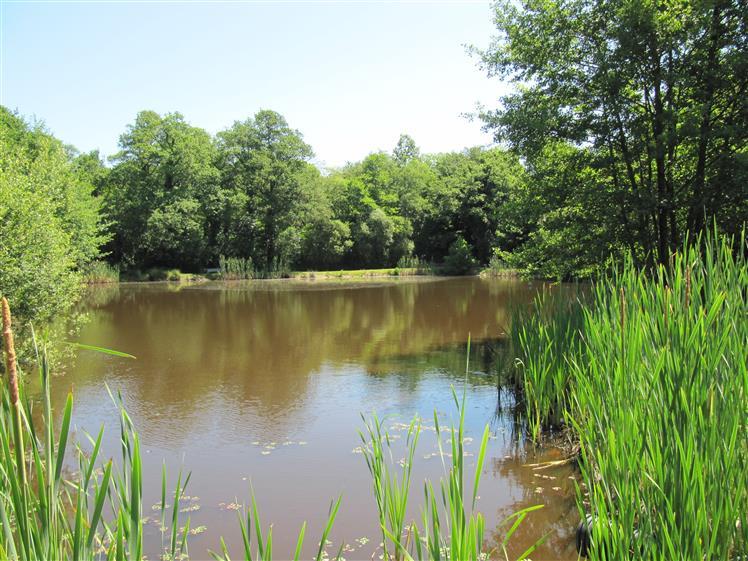 Le Hameau Du Lac Le Hameau Du Lac