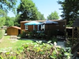 Chalet Super Crocus 34M² - 3 Camere / Terrazzo Chalet Super Crocus 34M² - 3 Camere / Terrazzo