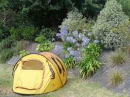 Kampeerplaats(en) - Basisprijs Comfortplaats (1 Tent, Caravan Of Camper / 1 Auto / Elektriciteit 10A) - Camping Les Pins de Sel 