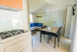 Huuraccommodatie(s) - Stacaravan Confort 26M² -  2 Slaapkamers  + Half-Schaduwrijk Terras - Camping Les Pins de Sel 