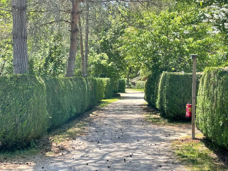 Emplacement Standard (Sans Électricité) -