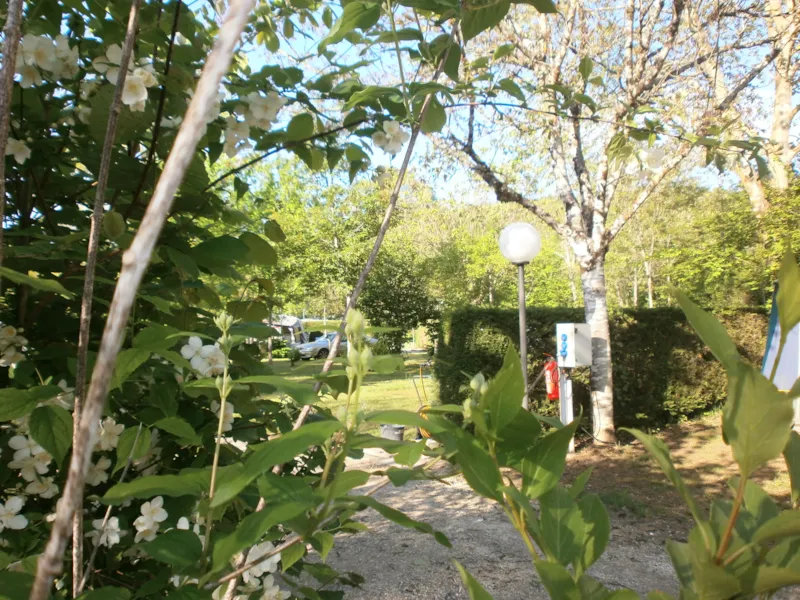 Emplacement Standard (Avec Électricité) -