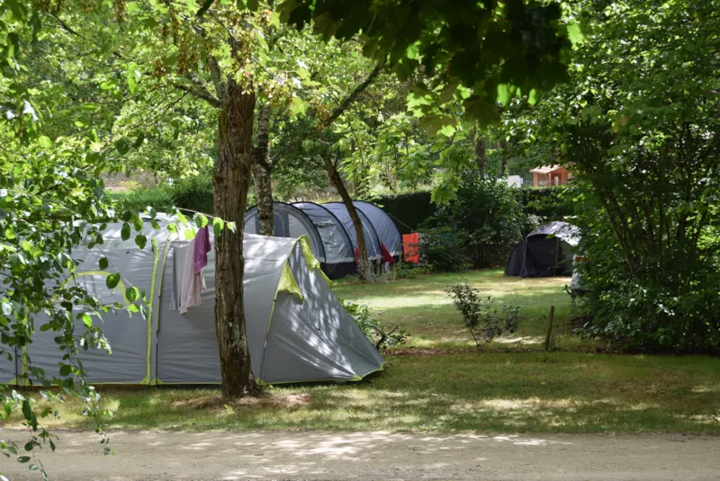 Emplacement Standard (Avec Électricité) -