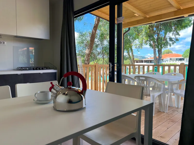 Baia Revolution Plus