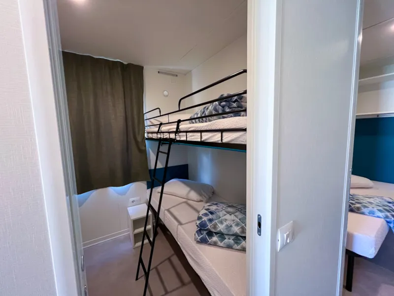 Baia Revolution Plus