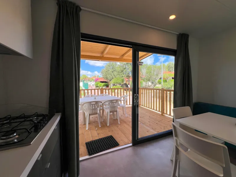 Baia Revolution Plus