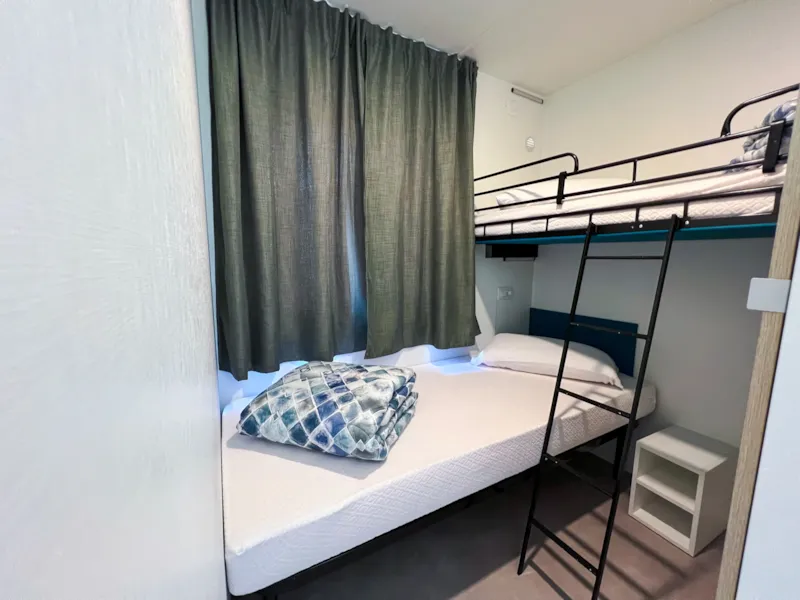 Baia Revolution Plus