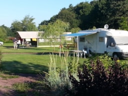 Piazzole - Piazzola Confort (Tenda, Roulotte, Camper / 1 Auto / Elettricità 10A) - Domaine de Kervallon