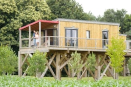 Accommodation - Cottage On Piles Premium (2 Bedrooms - 1 Bathroom) + Sheltered Terrace - Domaine de Kervallon