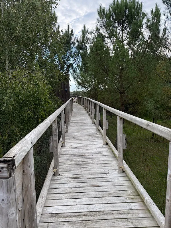 Cottage Sur Pilotis Premium (2 Chambres - 1 Sdb) + Terrasse Couverte