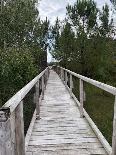 Cottage on piles PREMIUM (2 bedrooms - 1 bathroom) + sheltered terrace