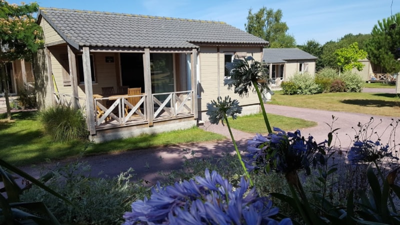 Chalet confort PREMIUM - 33 m² (2 Zimmer - 1 Badezimmer) + überdachte Terrasse