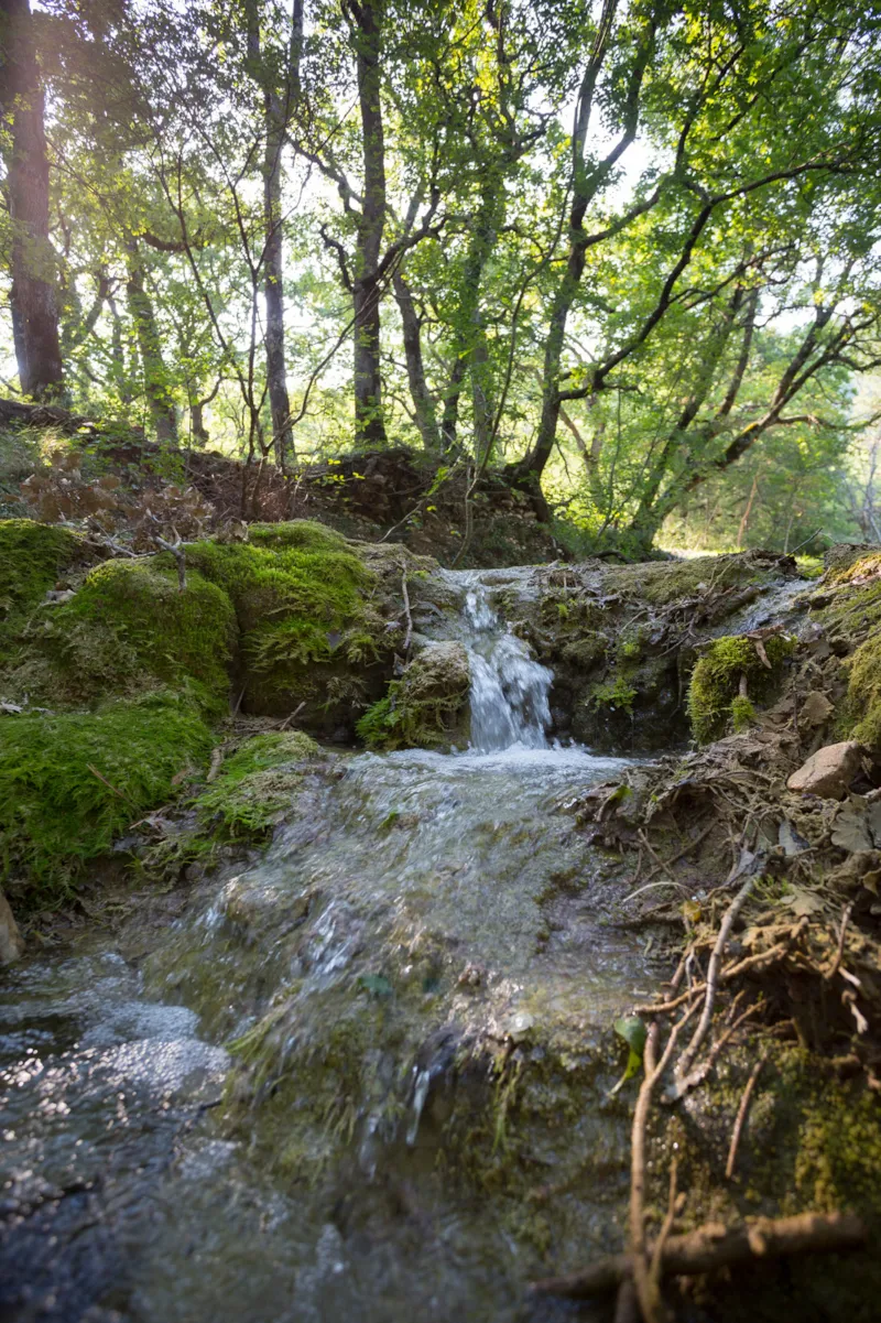 Emplacement : Tente + Électricité (Pas D'accès Voiture)