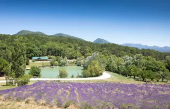 Huttopia Dieulefit - MyCamping