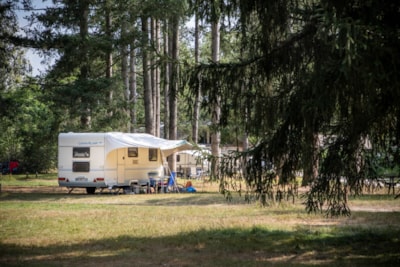 Pitch Camping Confort