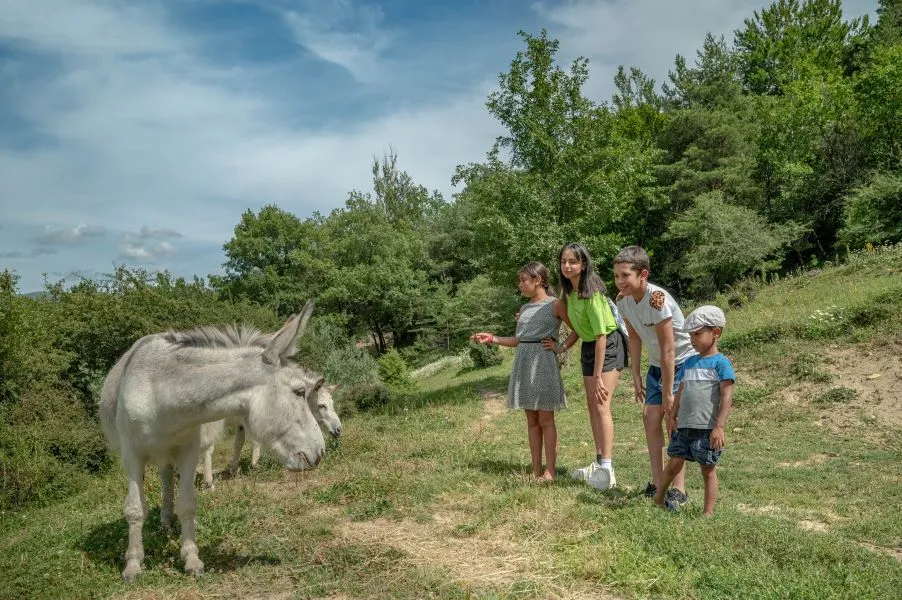 Camping Les Bois du Chatelas