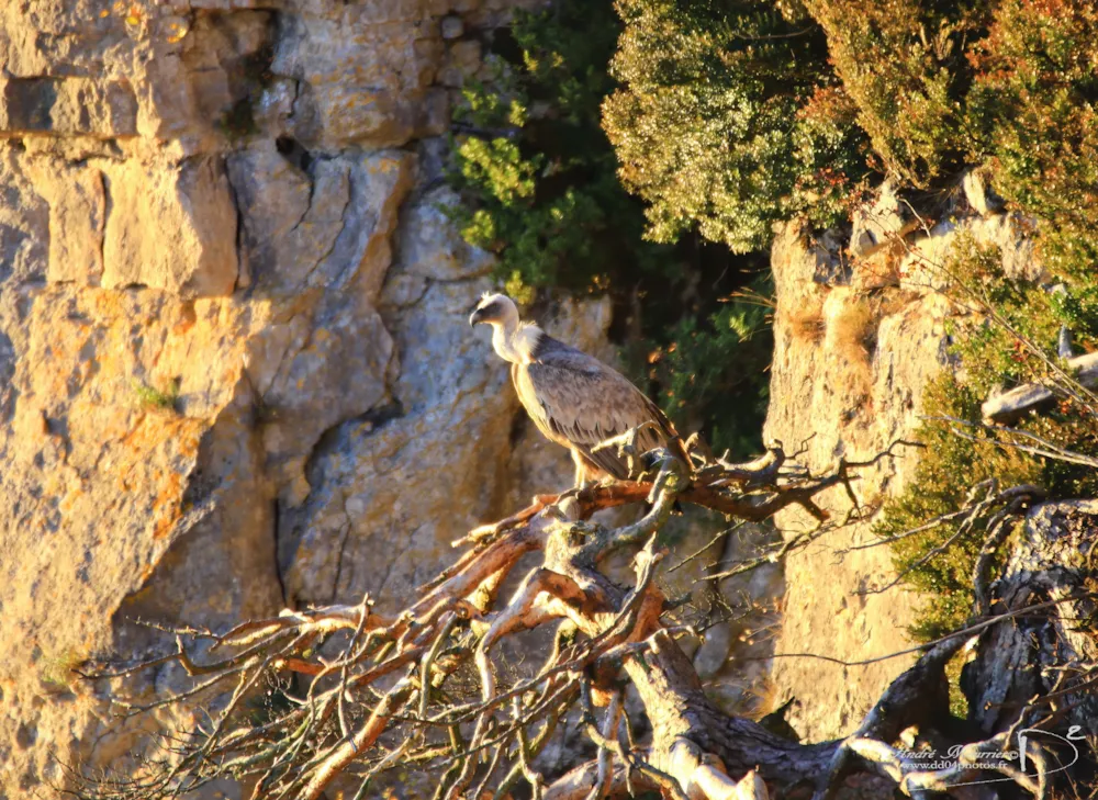 RCN Val de Cantobre