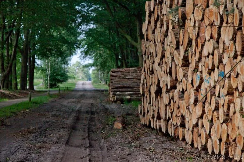 Camping De Noetselerberg - image n°16 - UniversalBooking