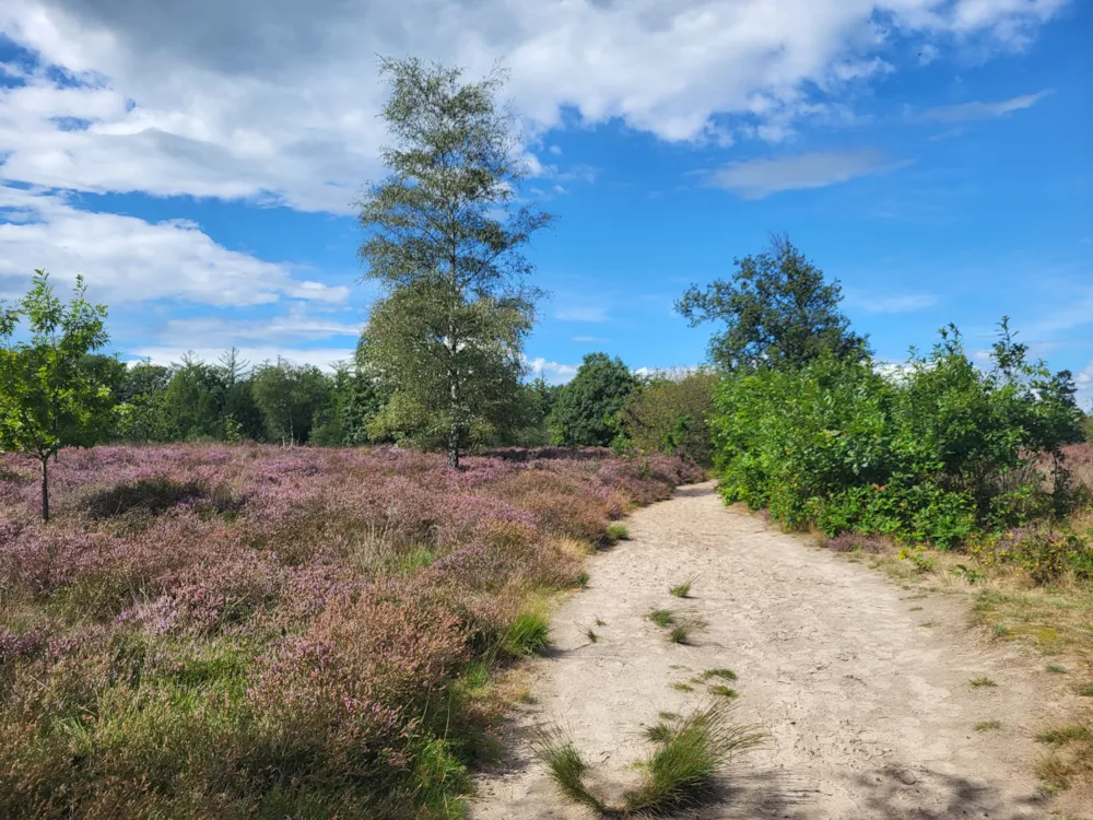 Familiepark De Vechtvallei