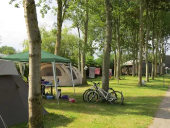 Flower Camping Le Haut Dick - image n°3 - Camping Direct