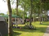 Foto #4 van Flower Camping Le Haut Dick