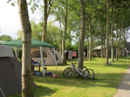 Flower Camping Le Haut Dick - image n°3 - Roulottes