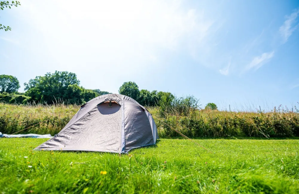 Pitch - Shelter Pitch - Camping Vinkenhof
