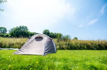 Stellplatz - Stellplatz Shelter - Camping Vinkenhof