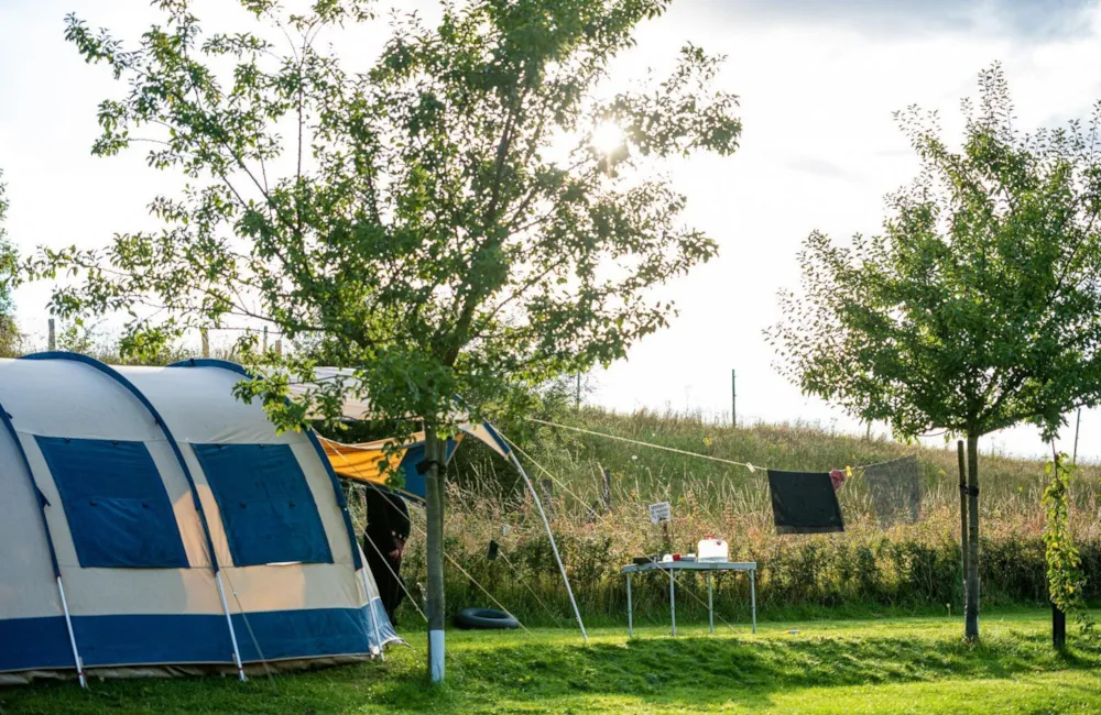 Pitch - Standard Pitch - Camping Vinkenhof