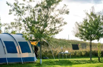 Stellplatz - Stellplatz Standard - Camping Vinkenhof